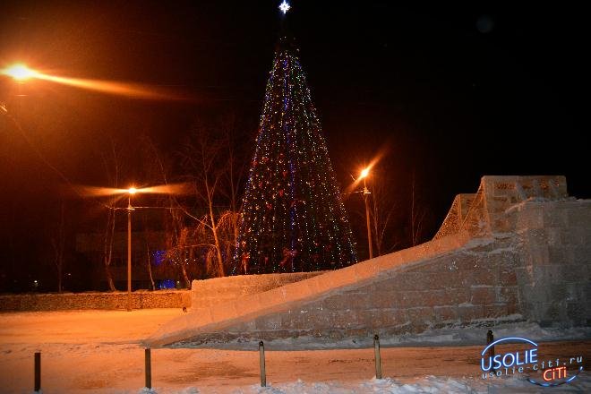 Главную елку в Усолье начнут украшать 17 декабря