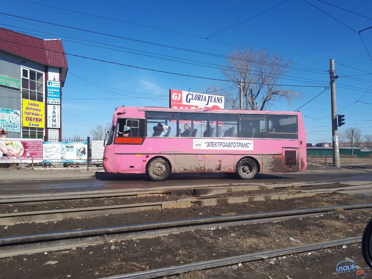 Розовая «Аврора» снова на дорогах Усолья