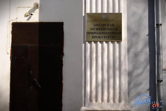 Прокурор потребовал ликвидировать свалку в Мишелевке