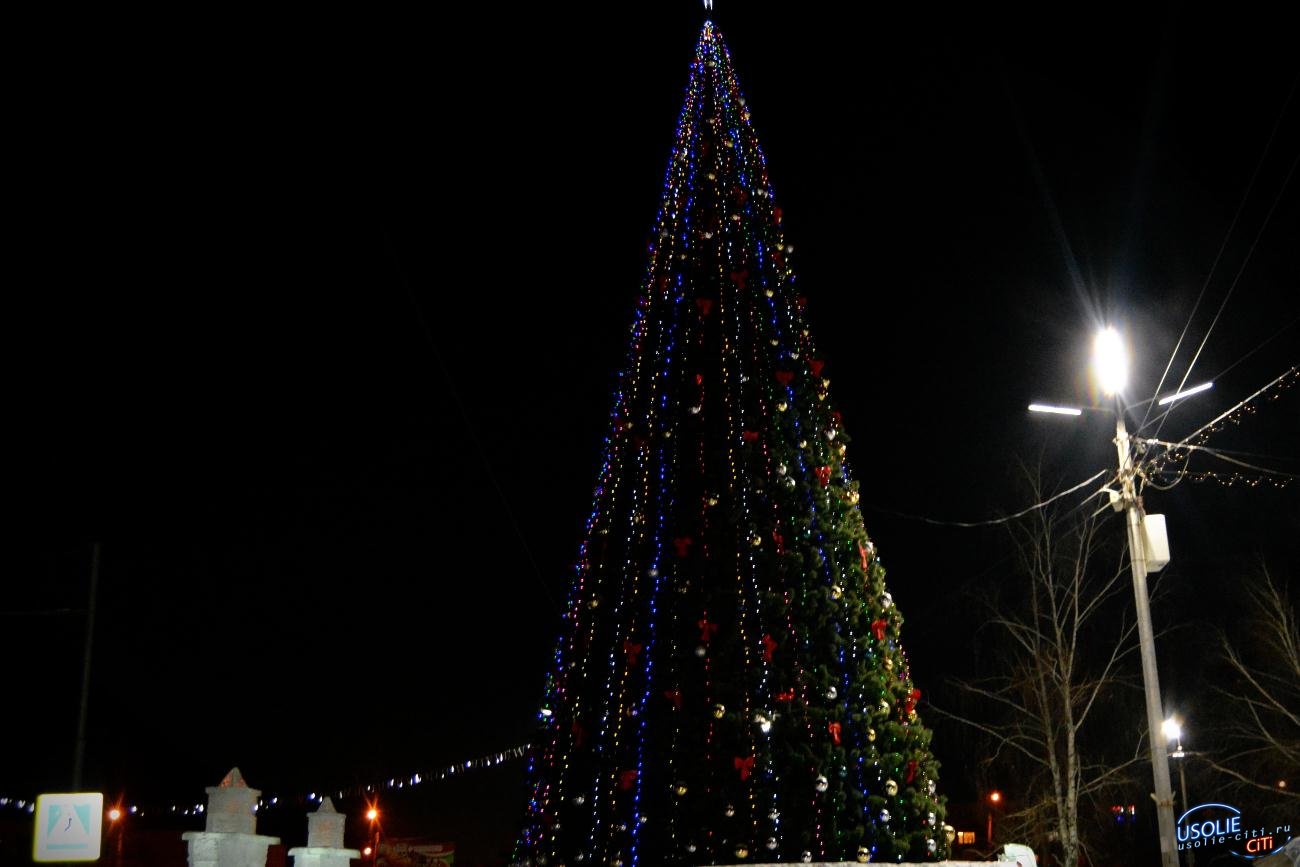 Дед Мороз в хромовых сапогах зажег главную елку Усолья