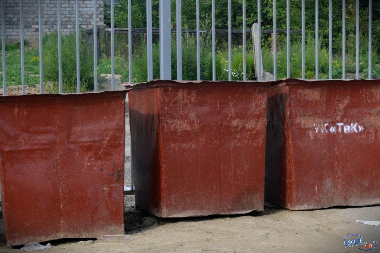Усольчане взбунтовались против установки мусорных контейнеров