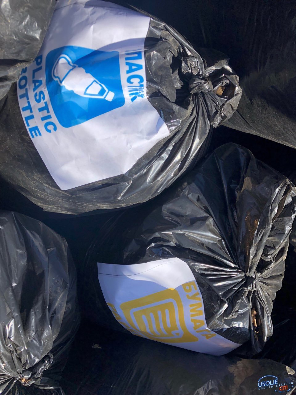 Мэр Усолья и его команда вывезли восемь самосвалов мусора с субботника
