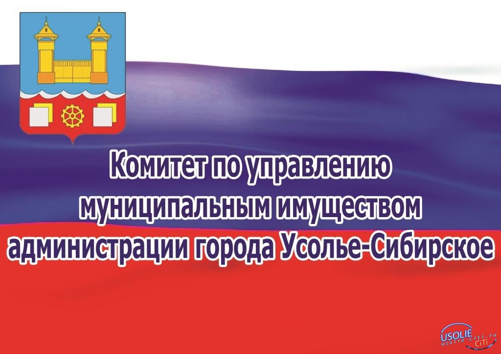 КУМИ администрации города Усолье-Сибирское продает земельные участки под ИЖС
