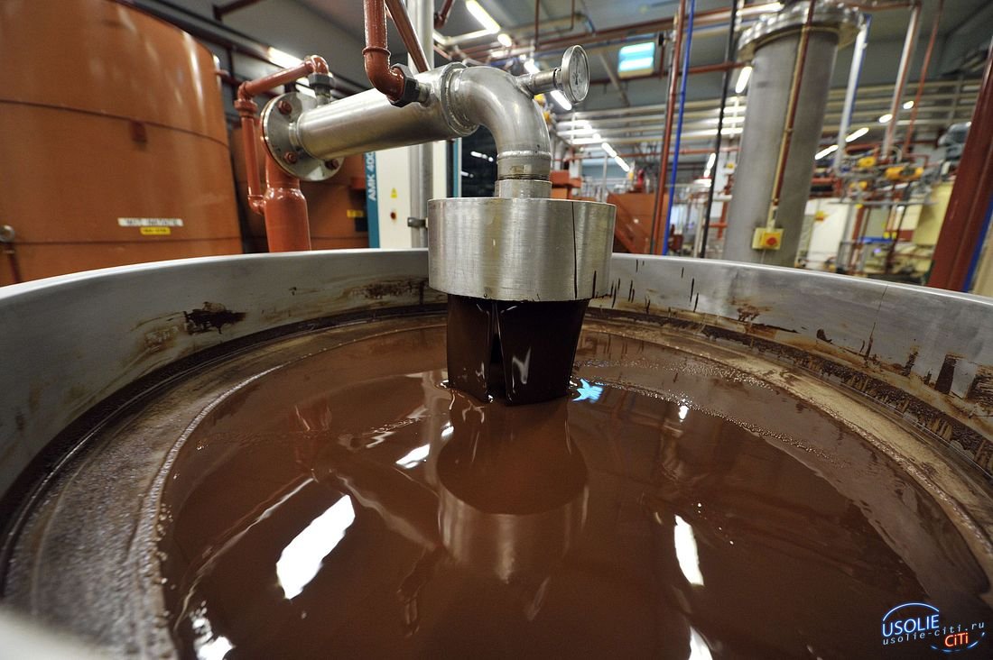 В Усолье появится шоколадная фабрика