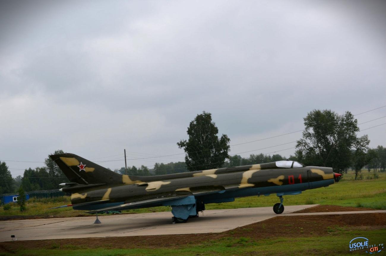 В Усольском районе установили памятники советским самолетам
