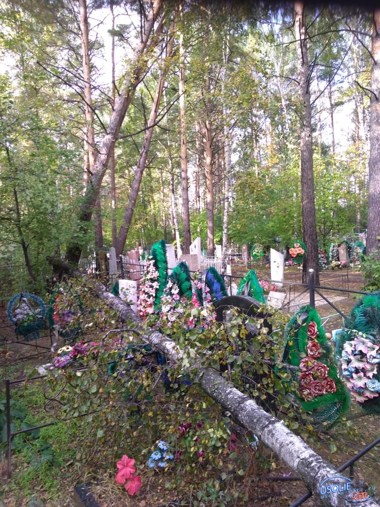 Непогода повалила деревья на усольском кладбище