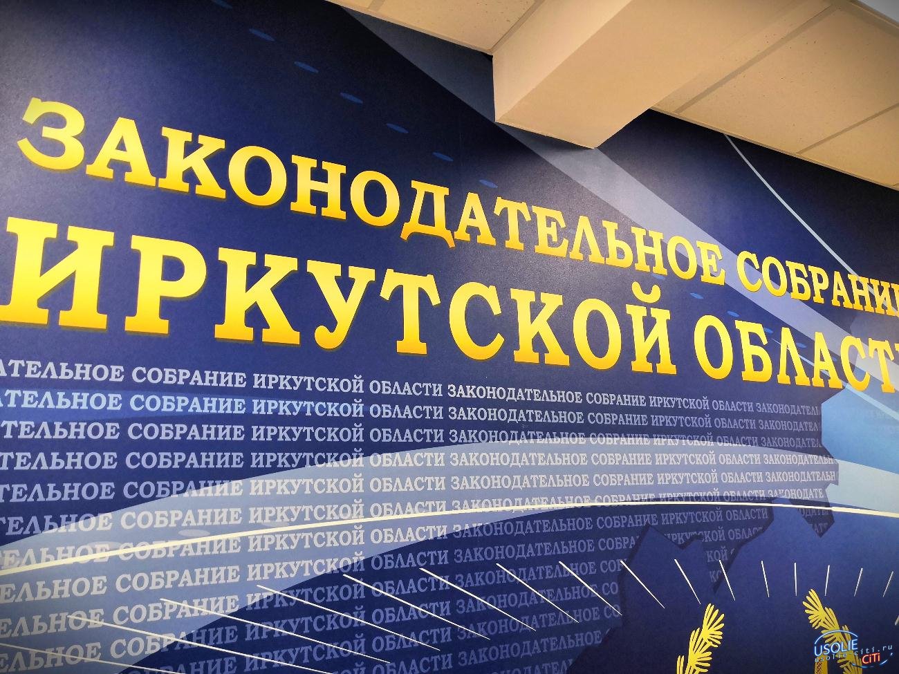 Усольчанин Михаил Ожиганов встретился со спикером парламента Иркутской области