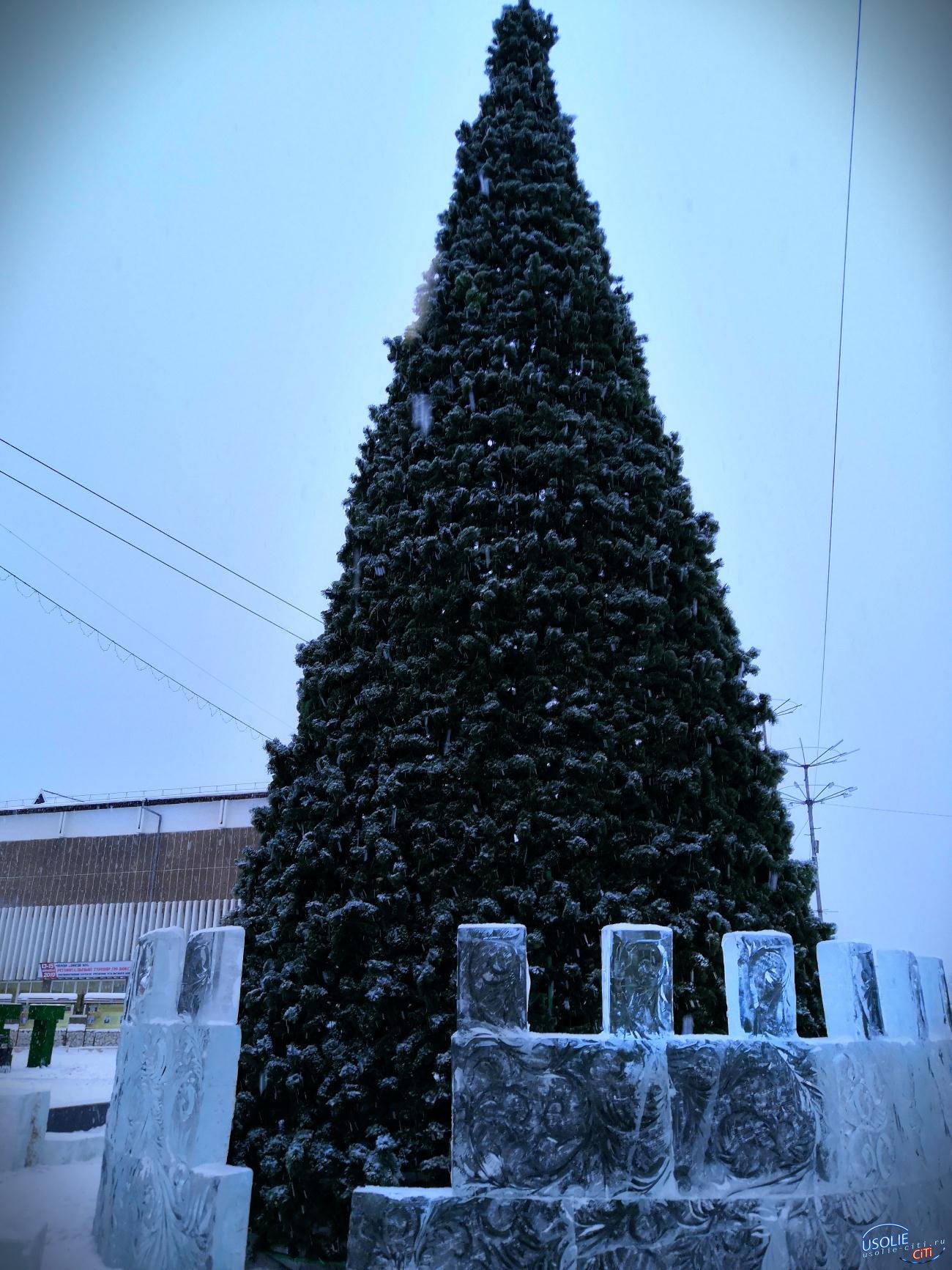  На главной площади Усолья установили новогоднюю ёлку