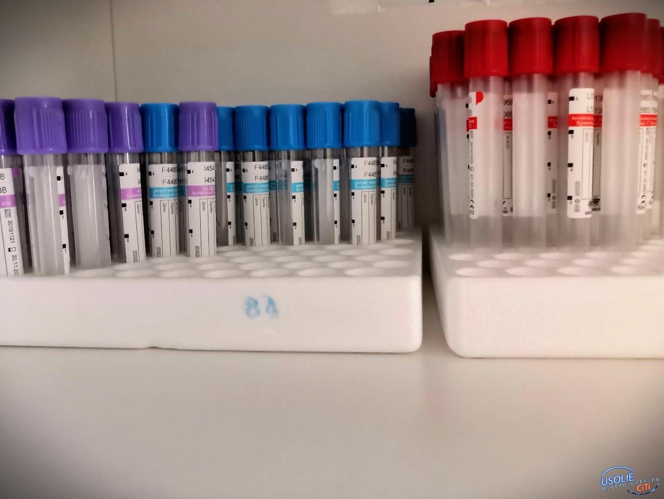 «Инвитро» делится результатами тестирования на антитела к коронавирусу в Усолье