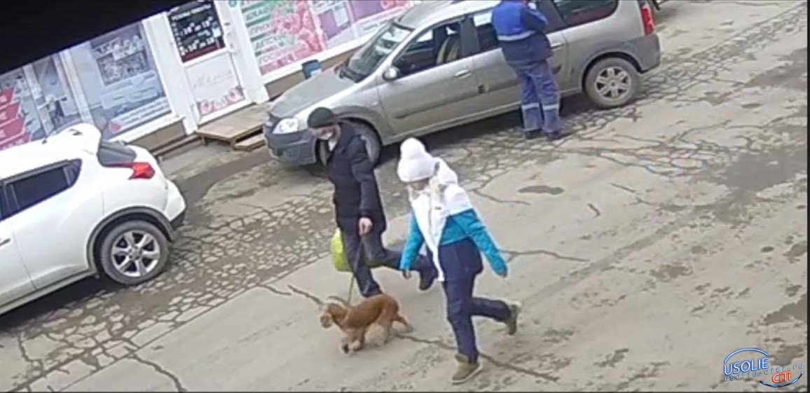 В Усолье украли собаку, ожидавшую хозяйку