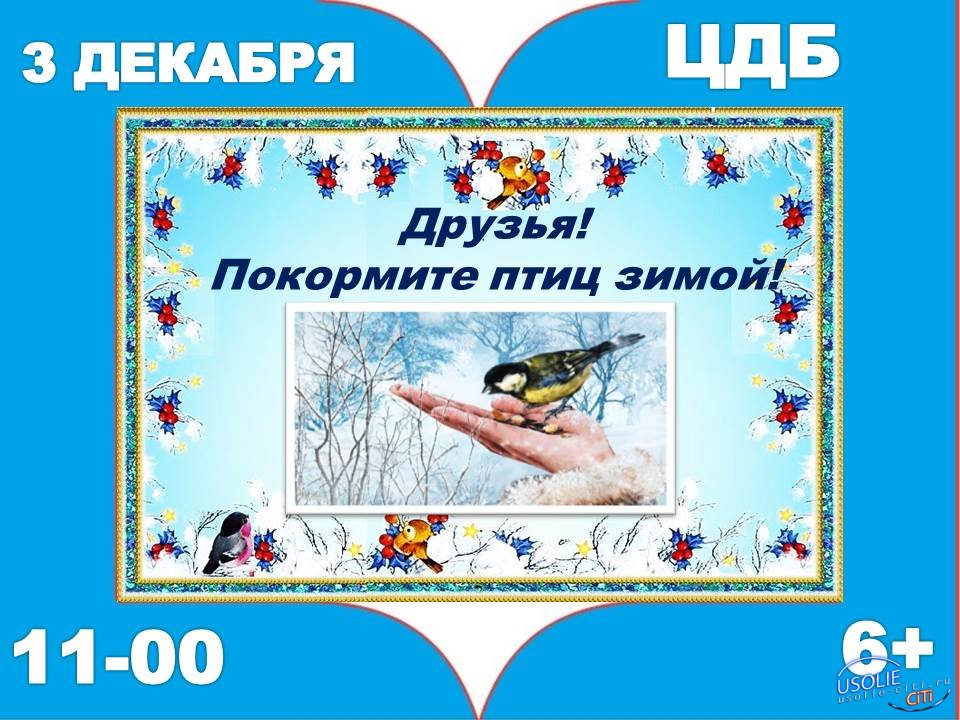 Выставка – призыв «Покормите птиц зимой!» проходит в Усолье