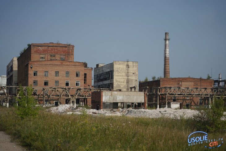 Власти опровергли информацию об опасности нового завода по переработке отходов в Усолье