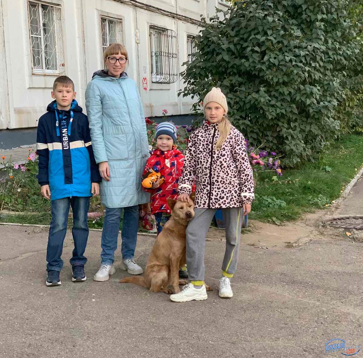 Семья Скляренко из Усолья отдала собаку в добрые руки