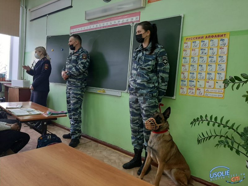Оперативная собака продемонстрировала свои служебные навыки в школе Усолья