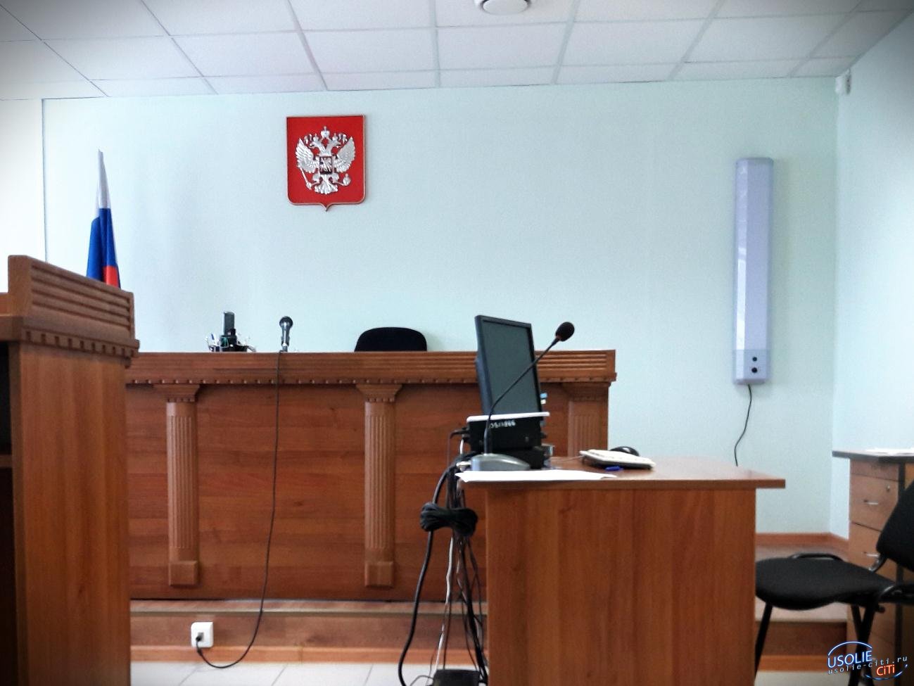 Директора фирмы из Усолья осудили за контрабанду леса на 110 млн рублей
