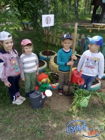 Малыши усольского детского сада №25 посадили деревья