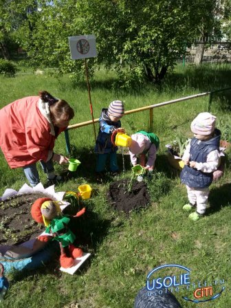 Малыши усольского детского сада №25 посадили деревья