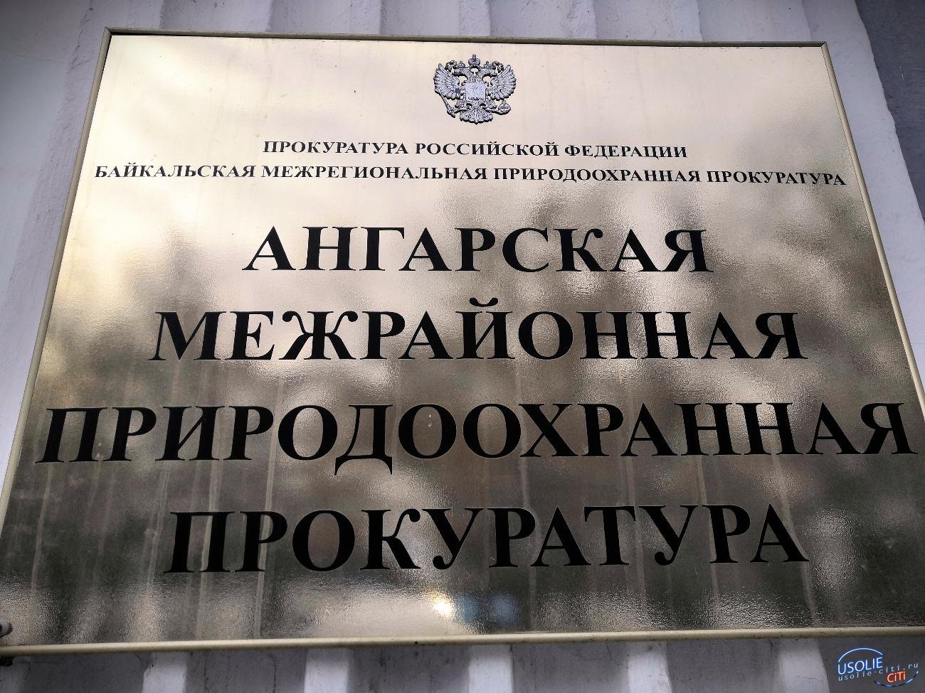 Ангарская межрайонная природоохранная прокуратура: «Чистый воздух» в Усолье