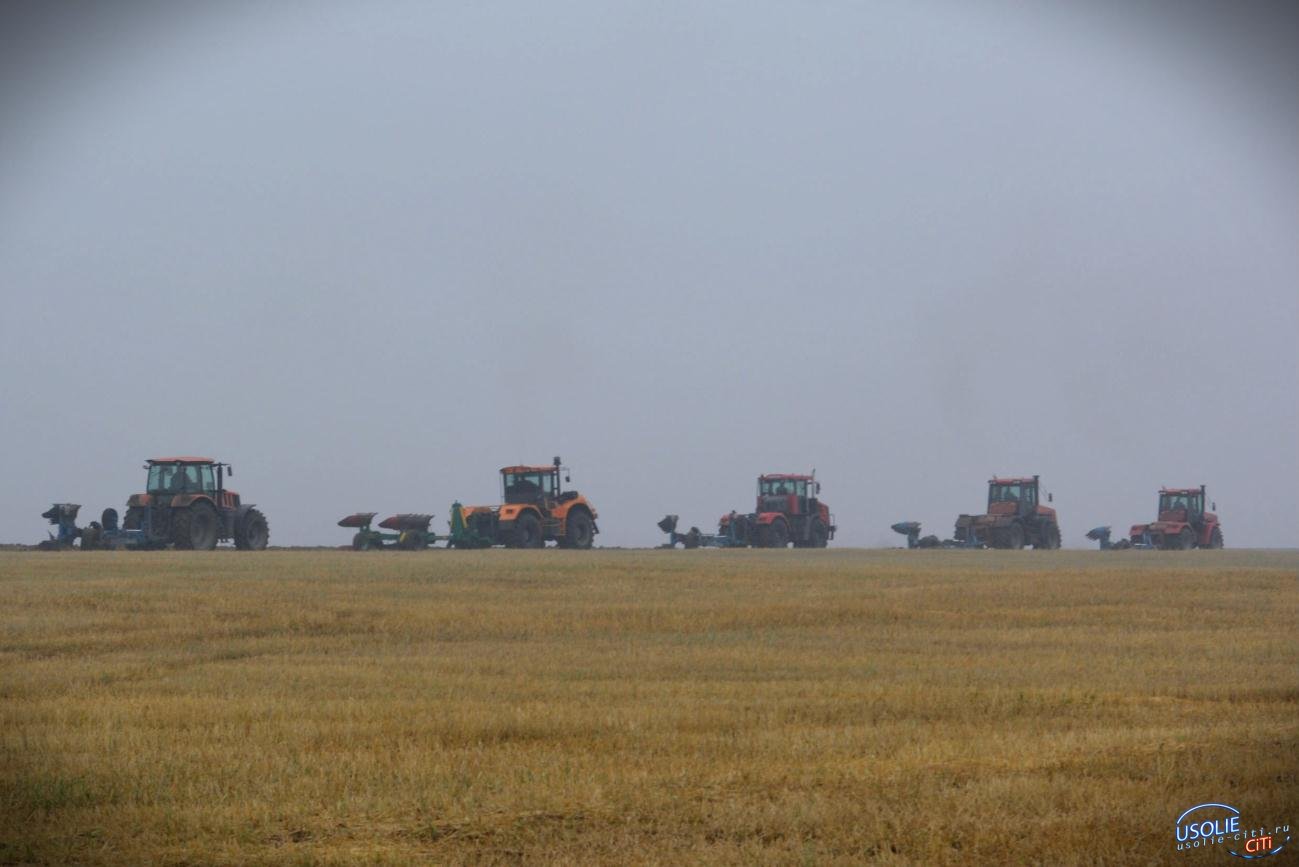 Два предприятия района завершили уборку зерновых и зернобобовых культур