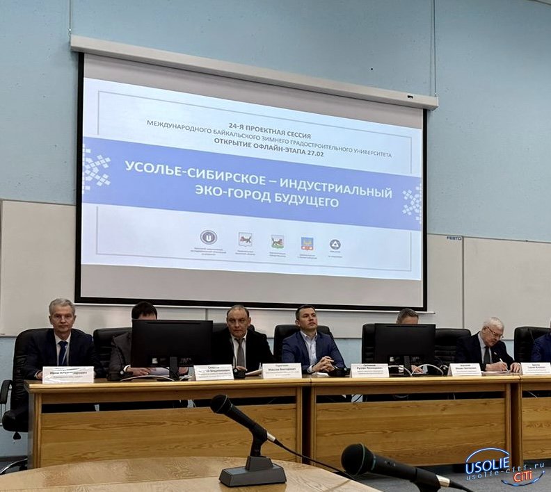 Представили Усолье на 24-й сессии Международного Байкальского зимнего градостроительного университета