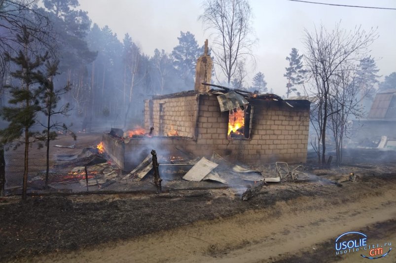 Большой пожар в Усольском районе. Огонь охватил два садоводства и детский лагерь