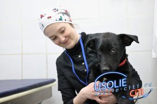 В Усольской ветеринарной станции появится ПЦР-диагностика