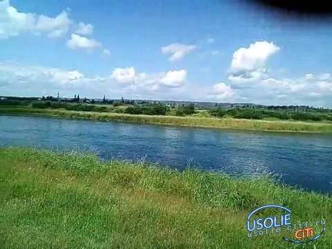 Каково содержание ртути в пробах воды в реке Ангаре  в черте Усолья