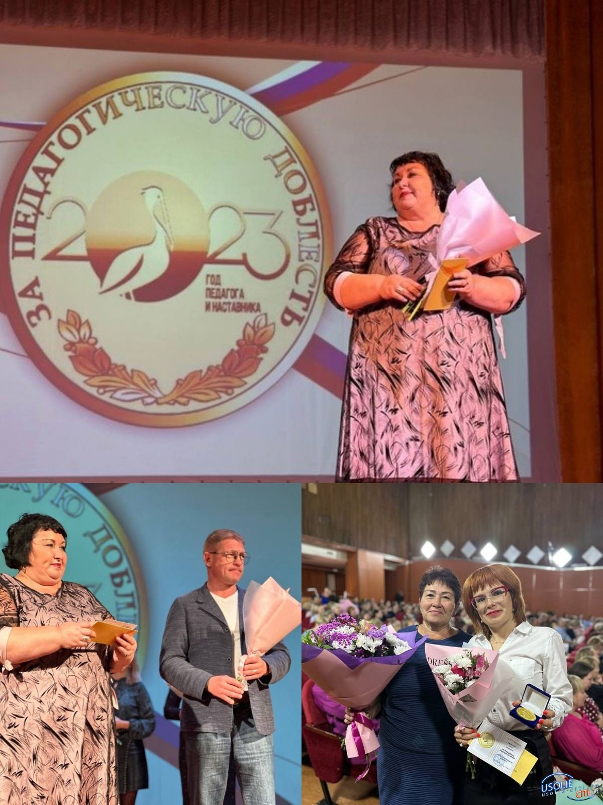 52 усольским педагогам вручили знак отличия «За педагогическую доблесть