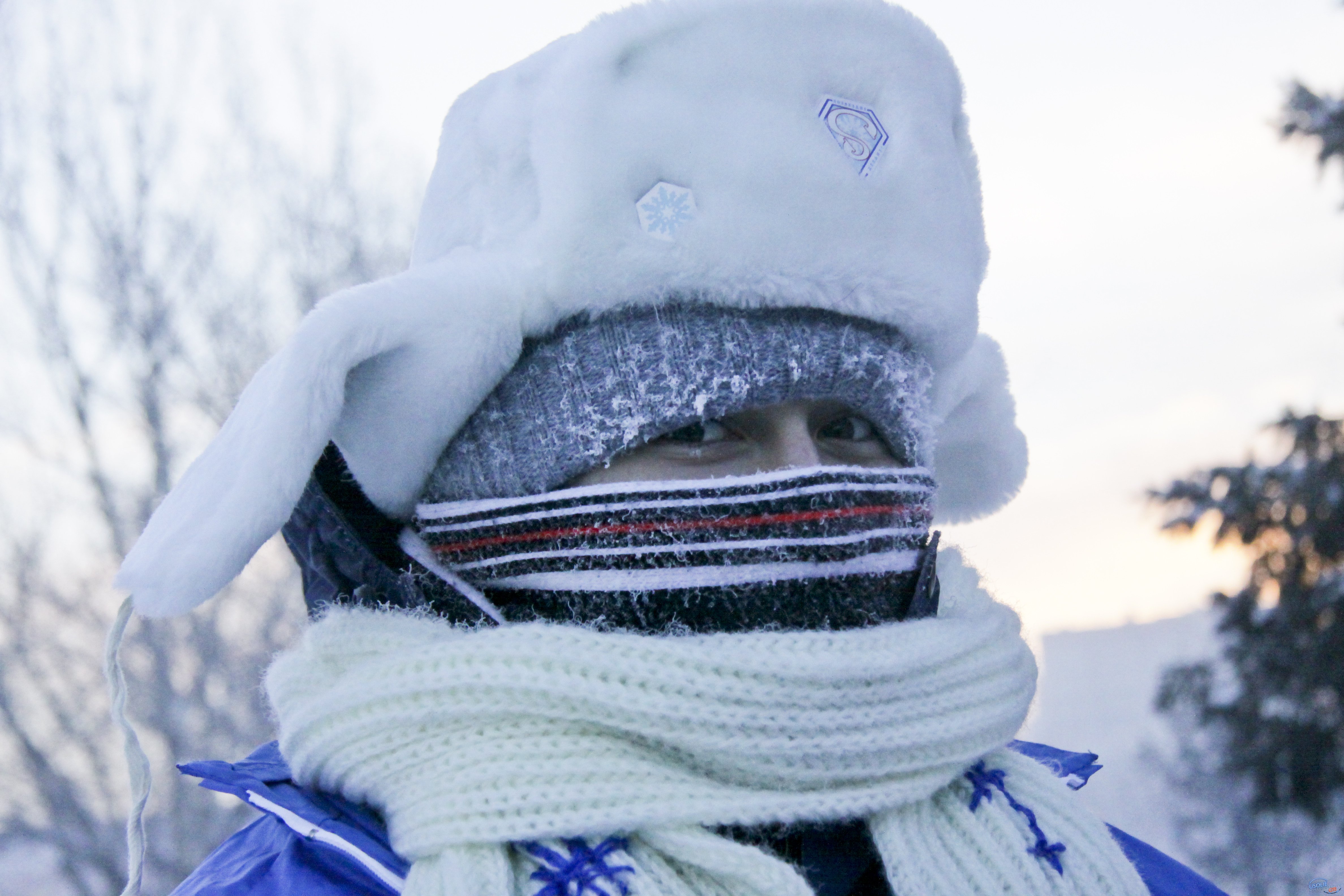 Теплая одежда зимой. Тепло одетый человек. Человек укутанный в шарф. Укутаться шарфом. Тепло одеться зимой.