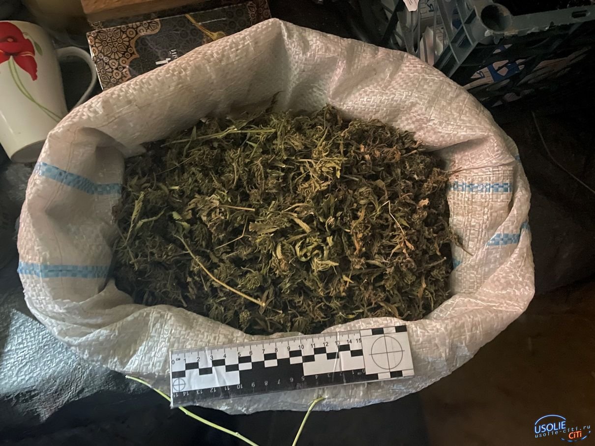 Усольчанина с мешком марихуаны задержала полиция