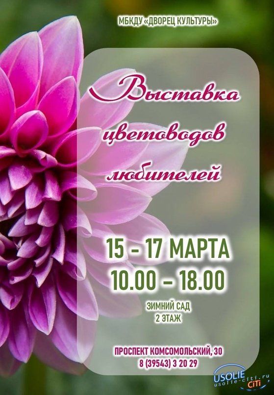 Выставка цветов приглашает усольчан во Дворец культуры