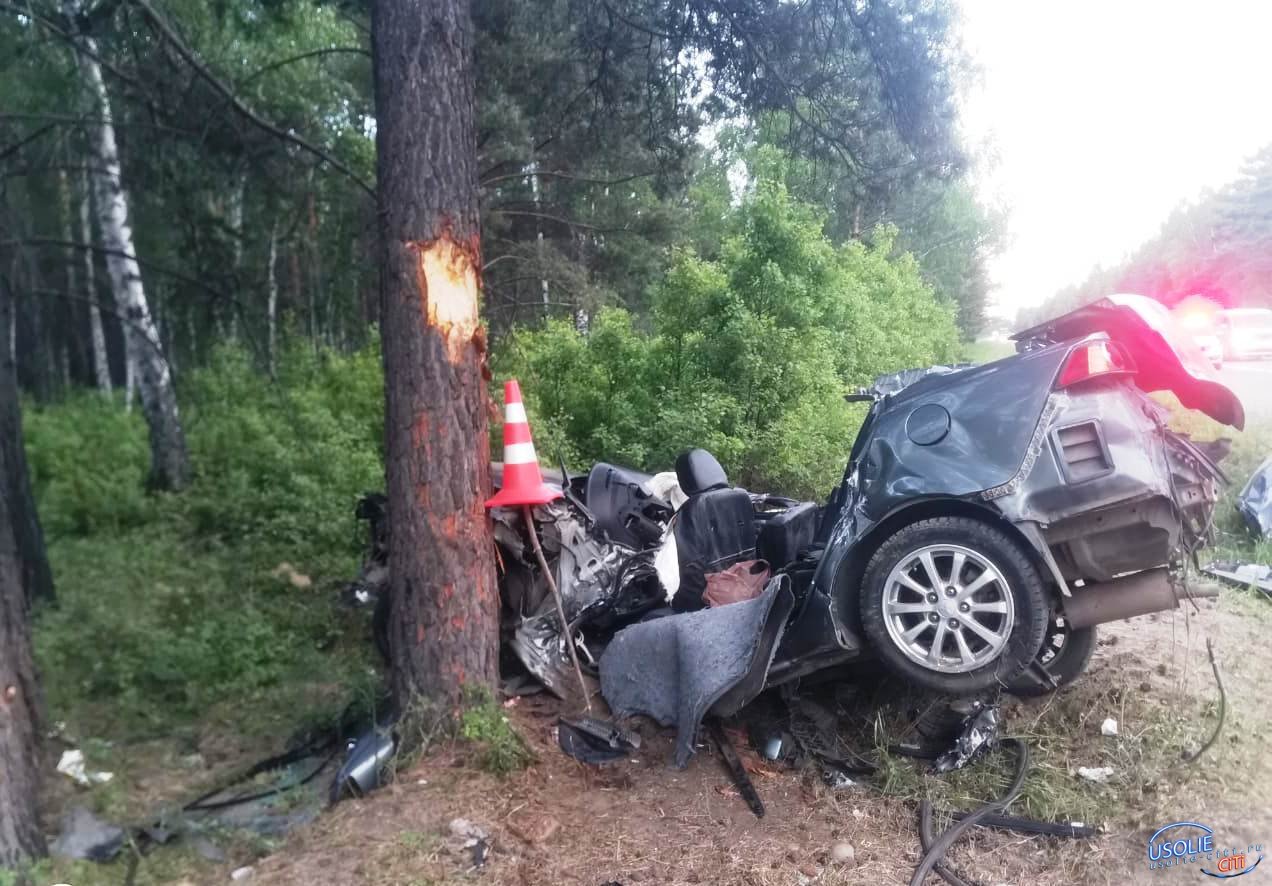 Совершила съезд с дороги и врезалась в дерево. Обзор усольских ДТП »  Городской портал Усолье-Сибирское