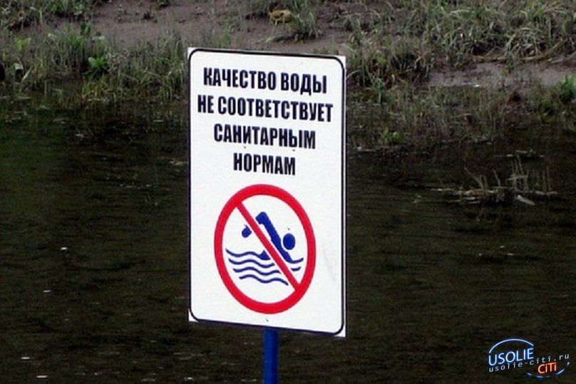 В усольских реках  купаться опасно