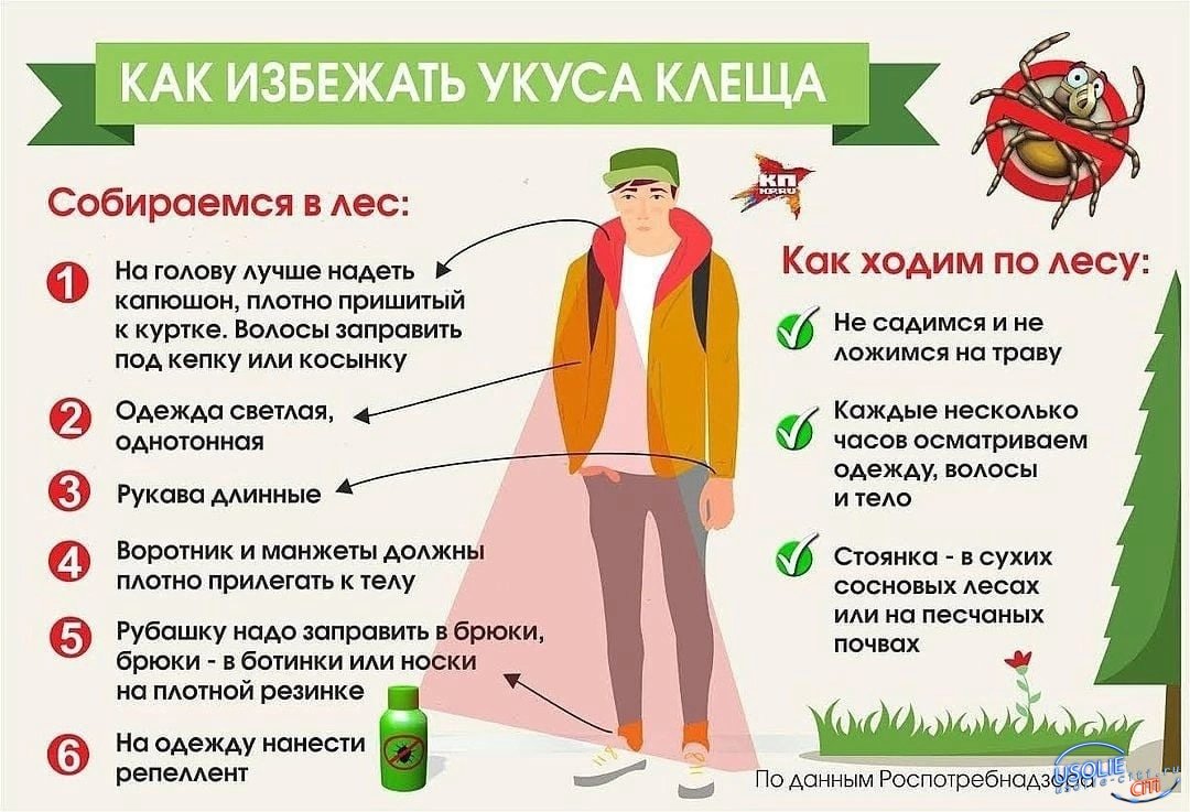 В Усольском районе двое пострадавших от укуса клещей.