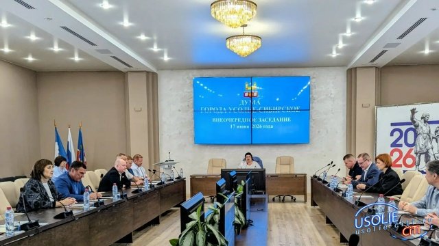 Депутаты Усолья решили передать два объекта недвижимости из муниципальной в областную собственность