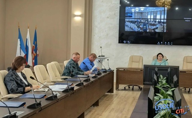 Сколько нарушений правил благоустройства выявили в Усолье ?