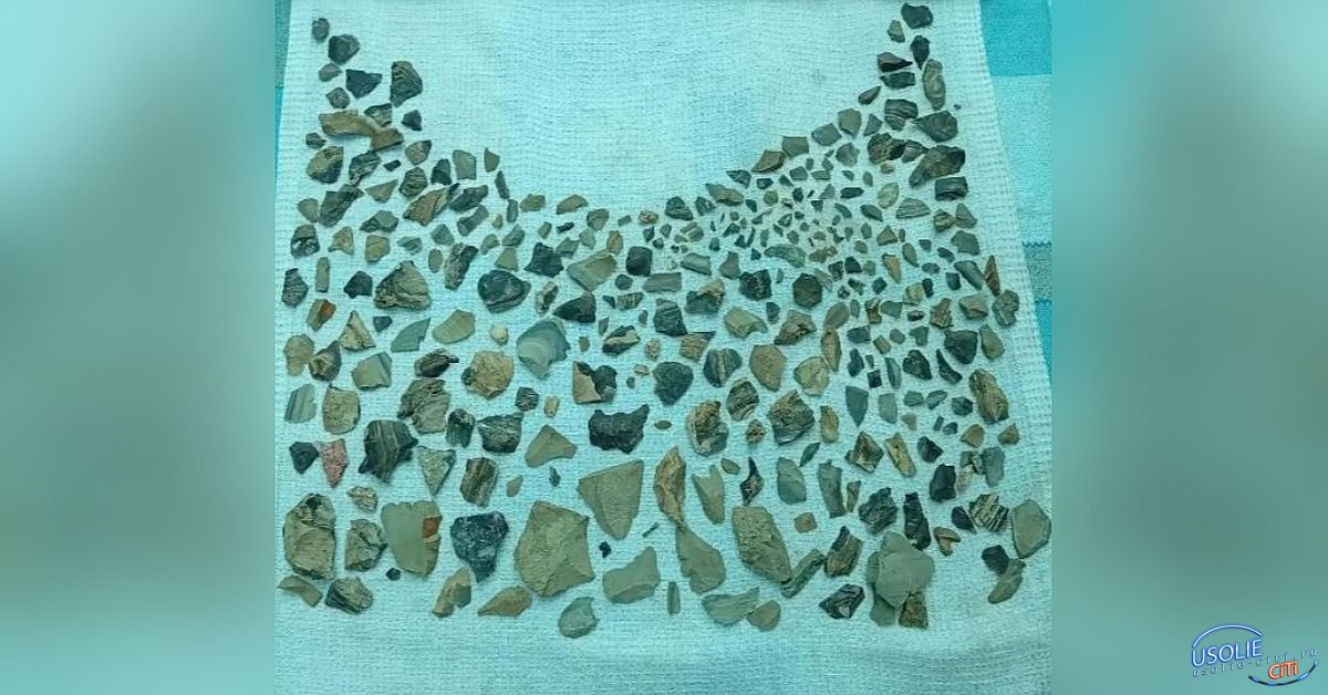 Усольские школьники под руководством ученых ИГУ приняли участие в волонтерской археологической экспедиции