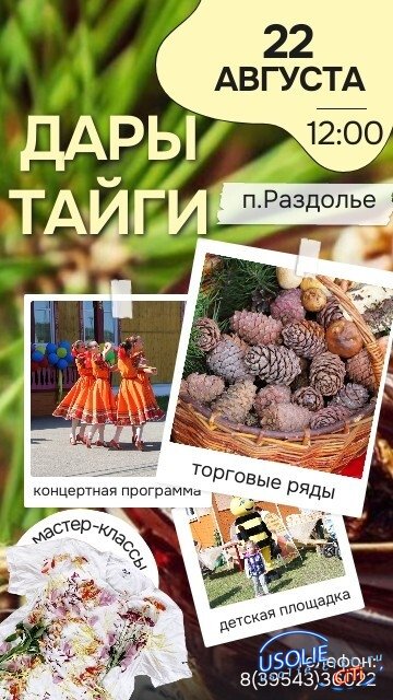 В Усольском районе пройдёт районный фестиваль «Дары тайги»