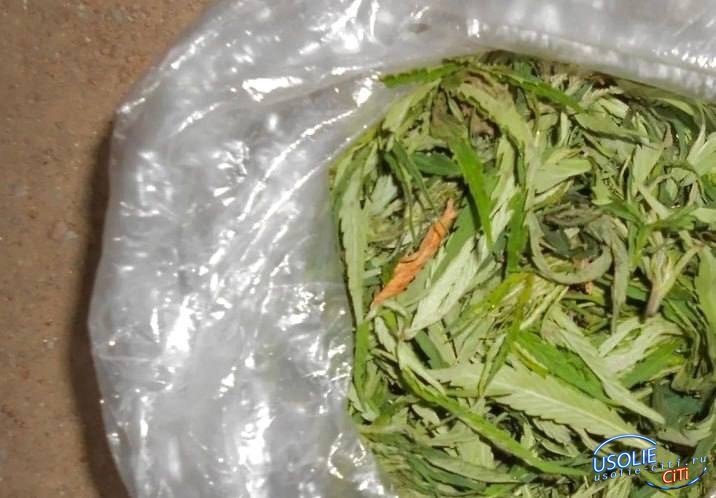 Двоих усольчан задержали с наркотиками