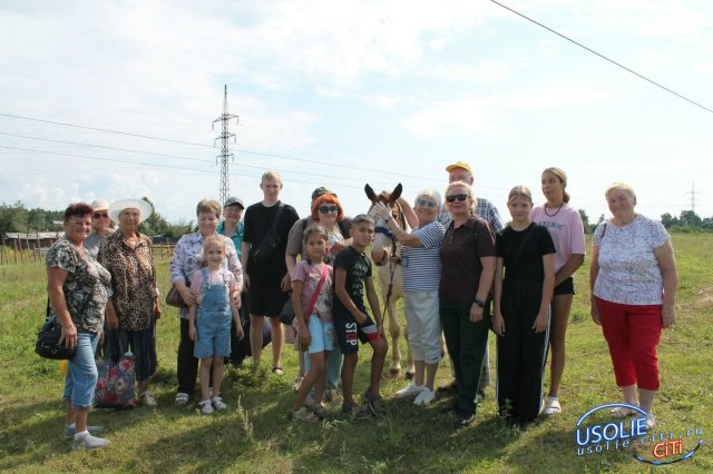 Усольские бабушки и внуки в гостях у лошадей