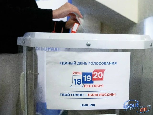 Что усольчане должны знать про грядущие выборы
