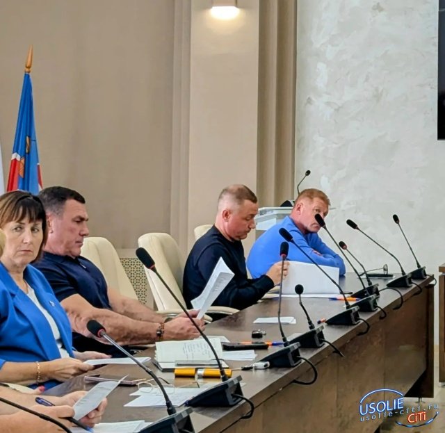 Депутаты Усолья всесторонне изучили