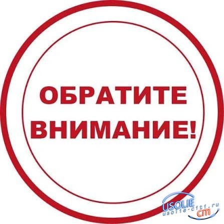 В Усолье-Сибирском начали штрафовать за парковку на газонах и свалки во дворах