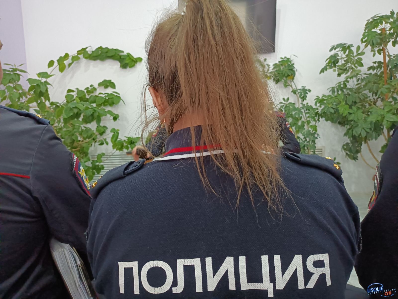 В Усолье-Сибирском украли оставленный пылесос на парковке