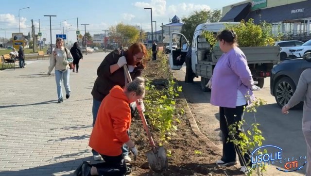 Комсомольский проспект в Усолье стал зеленее: высажена новая партия из 100 деревьев