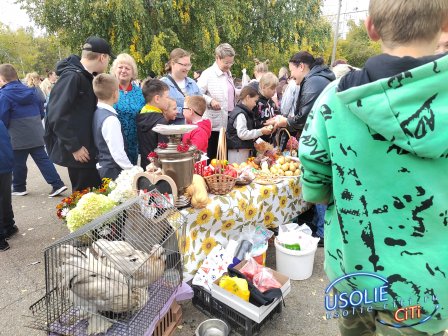 Золотая пора щедрости: Усольская школа 16 встретила осень шумной ярмаркой