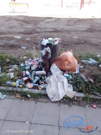 Усолье-Сибирское: где чисто, где нет – и что с этим делать
