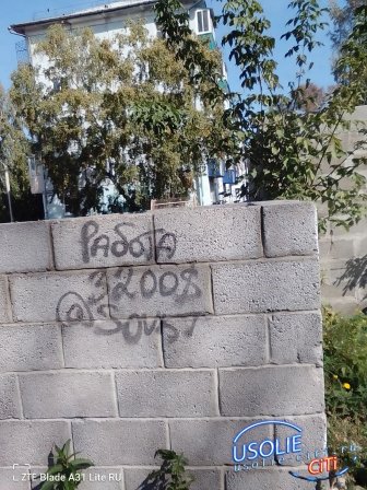 Усолье-Сибирское: где чисто, где нет – и что с этим делать