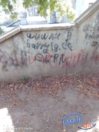 Усолье-Сибирское: где чисто, где нет – и что с этим делать