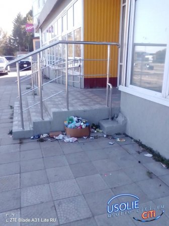 Усолье-Сибирское: где чисто, где нет – и что с этим делать